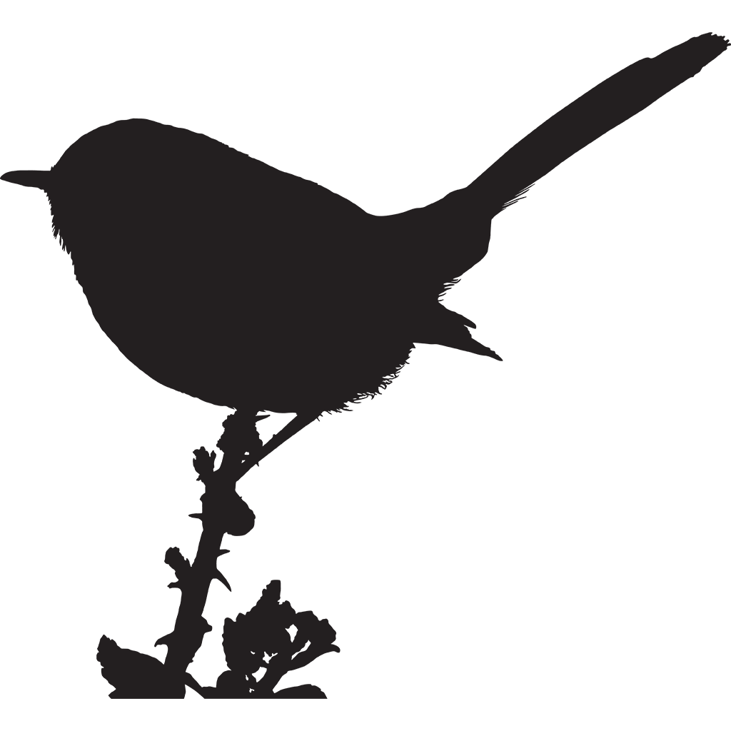 Gnatcatchers Silhouette