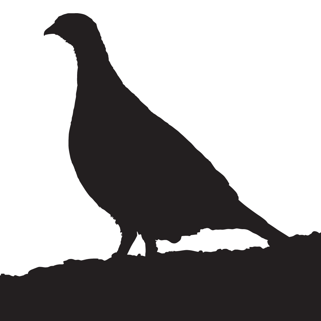 Game Birds Silhouette