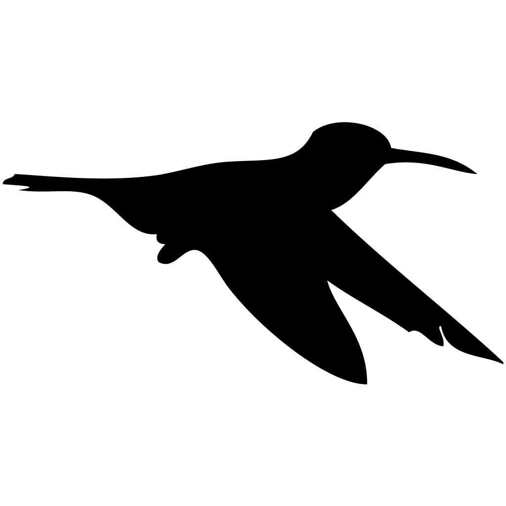 Silhouette Hummingbirds