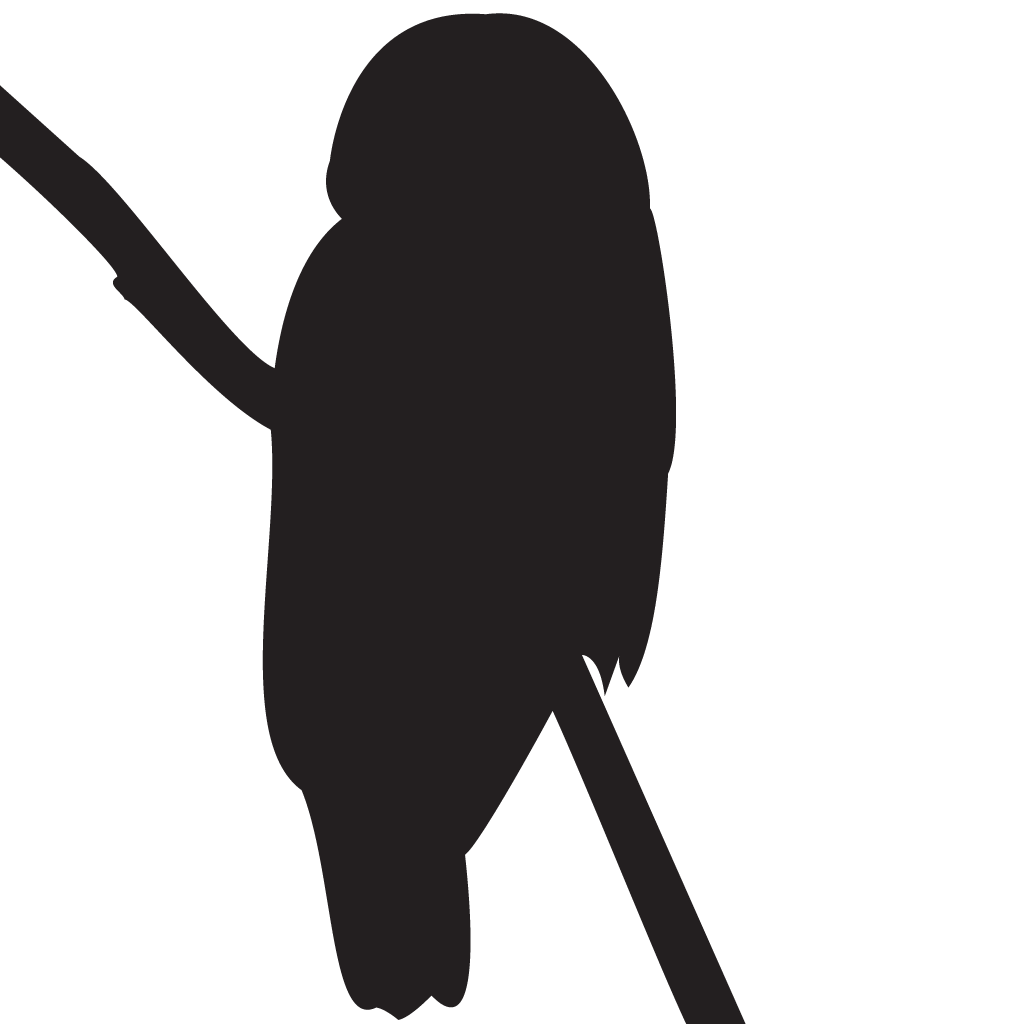 Silhouette Owls